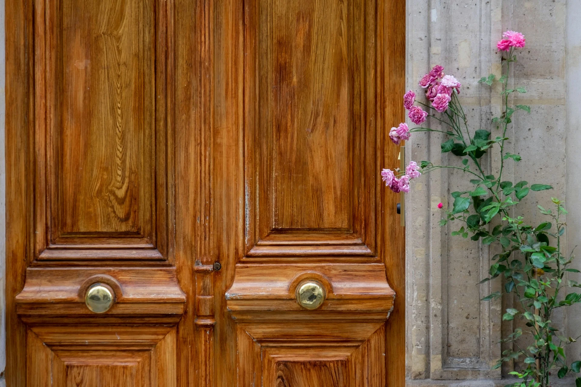Siddh Glazing provides wooden entrance doors in the UK